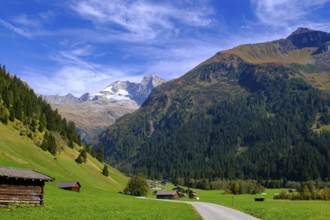 Alpine pasture with Olperer, Innervals, Valser Tal, Valser Tal Natura 2000 nature reserve, Wipptal,