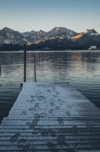 Frosty morning atmosphere during sunrise at Lake Hopfensee in the Allgäu in Bavaria, Germany,