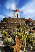 2016, Guatiza, Lanzarote, Jardin de Cactus by Cesar Manrique, ESP, Spain, Canary Islands, Canary