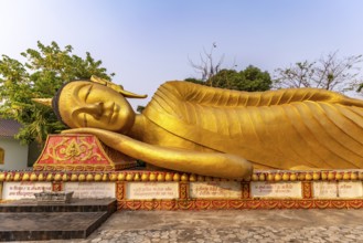 Giant reclining Buddha at Wat That Khao temple in the capital Vientiane, Laos, Asia