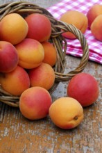 Apricots (Prunus armeniaca)