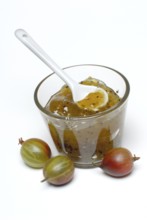 Glass of gooseberry jam and Gooseberries (Ribes uva-crispa) , gooseberry jam, marmalade, jam