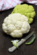 Green and white Cauliflower (Brassica oleracea var. botrytis) knife