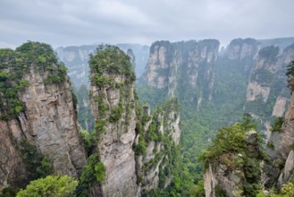 Famous tourist attraction of China, Avatar Hallelujah Mountain in Zhangjiajie stone pillars cliff