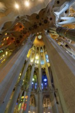 Interior of the Sagrada Família, Church of the Atonement of the Holy Family, architect Antoni