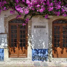 Façade decorated with flowers in the medieval village of Óbidos, Portugal, Europe