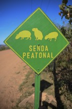 Sign Beware of Capybaras (Hydrochoerus hydrochaeris), Colonia Carlos Pellegrini, Esteros del Iberá,