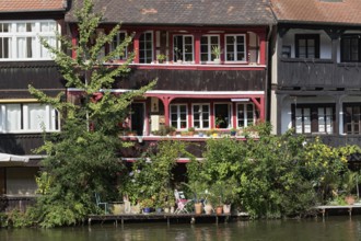 Idyllic residential buildings on the Regnitz, former fishermen's settlement, Little Venice Bamberg,