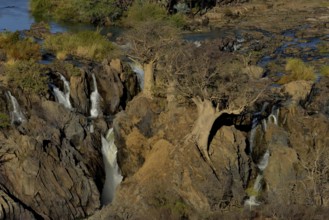 Epupa Falls, waterfalls of the Kunene River on the Namibian-Angolan border, Kunene Region, Namibia,