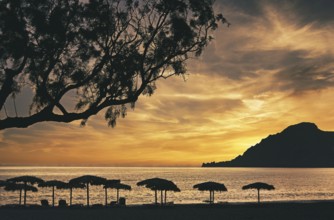 Sunset with parasols and tree and mountain, Mediterranean Sea, Plakias, Crete, Greece, Europe