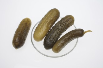 Sour cucumber, gherkin or pickled cucumber