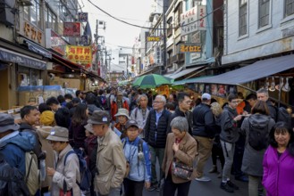 Visitors to Tsukiji Market, Chuo District, Tokyo, Japan, Asia