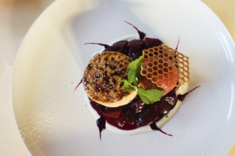 Upscale cuisine, French dessert, crème brûlée, plum compote, ice cream scoop, honeycomb pastry,