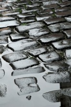 Wet cobblestone pavement, rain puddle, paving stones, puddle, Celle, Lower Saxony, Germany, Europe