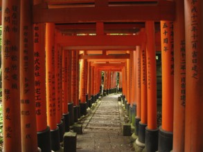 Torii Gates, Fushimi Inari Shrine, Kyoto, Japan, Asia