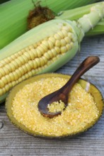 Polenta, maize, maize semolina, maize semolina, corn on the corn corn corn corn corn corn corn corn