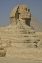 Sphinx or Great Sphinx of Giza, lion with a human head, built in the 4th Egyptian dynasty around