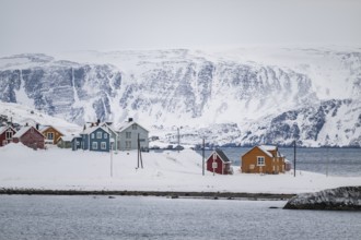 Colourful houses in a snowy landscape, fishing village Kongsfjord, Berlevåg, Varanger Peninsula,