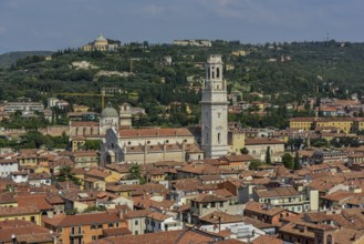 Cathedral Santa Maria Matricolare, Verona province, Veneto, Italy, Europe