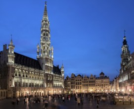 Grande Place or Grote Markt, left City Hall, right Maison du Roi, Twilight, Brussels, Belgium,