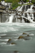 Hraunfossar waterfalls, lava waterfalls, river Hvita, Iceland, Europe