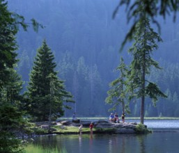 Arbersee, Großer Arber, Bavarian Forest National Park, Bavaria, Germany, Europe