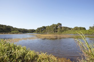 S'Albufera des Grau nature Park, Menorca