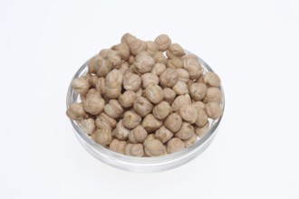 Chickpeas (Cicer arietinum), field pea, legume family