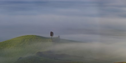 Landscape at sunrise around Volterra, province of Pisa, Tuscany, Italy, Europe