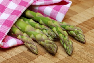 Green Garden asparagus (Asparagus officinalis) green, dry cloth