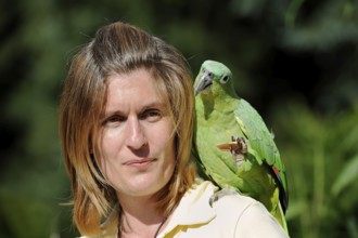 Woman with Salvadori miller amazon (Amazona farinosa virenticeps), France, Europe