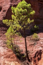 Ochre nature trail, Le Sentier des Ocres, former ochre mining area, ochre rocks, Roussillon,