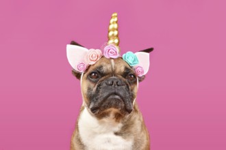 French Bulldog dog wearing unicorn costume headband with flowers and golden horn in front of pink