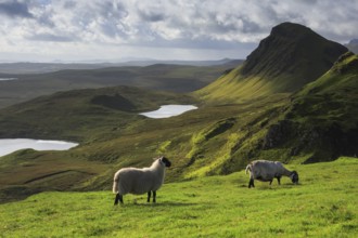 Trotternish, The Quaraig, Isle of Skye, Scotland, United Kingdom, Europe