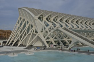 Museo de las Ciencias, Ciudad de las Artes y las Ciencias, city of arts and sciences, Valencia,