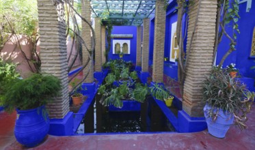 Morocco, Jardin Majorelle Botanical Garden in Marrakech, Africa