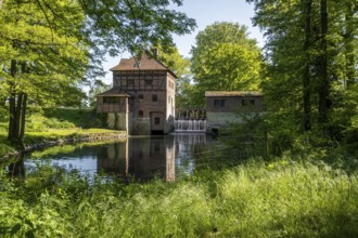 Brüningmühle, old water mill on the Vechte, Schöppingen, North Rhine-Westphalia, Germany, Europe