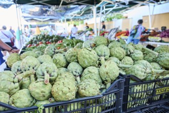 Market stall with fruits and vegetables on a weekle market near Tarragona, Catalonia, Spain, Europe