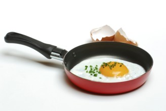 Fried egg with chives, in frying pan, chicken egg, egg, fry