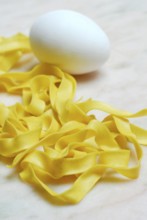 Fettuccine with saffron, and egg, ribbon noodles, pasta