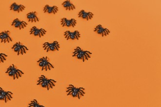 Small black plastic spiders creeping over orange Halloween background with copy space