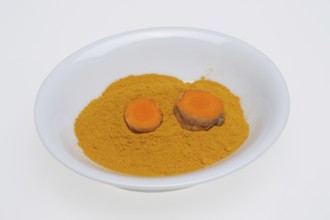 Turmeric (Curcuma longa) or curcume, yellow ginger, saffron root, turmeric, plant species of the