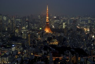 View from the Mori-Tower to the city illuminated at night with the Toky Tower, Rappongi Hills,