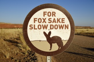 Sign Caution Bat-eared foxes (Otocyon megalotis), Gondwana Namib Park, near Sesriem, Hardap Region,