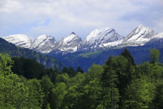 Churfirsten, Toggenburg, St. Gallen, Switzerland, Europe