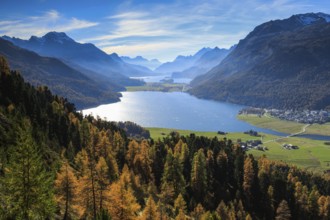 Lake Silvaplana and Silsersee, Upper Engadine, Grisons, Switzerland, Europe