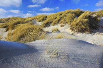 Sanddüne, Düne Island, Helgoland, Germany, Europe