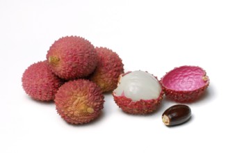 Lychee-Fruit (Litchi chinensis)