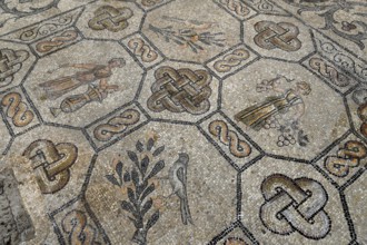 Early Christian floor mosaic from the 4th century, Basilica Santa Maria Assunta, Unesco World