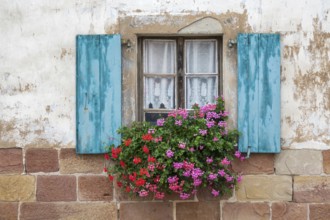 Window with blue shutters and floral decorations, Seebach, Département Bas-Rhin, Alsace, France,